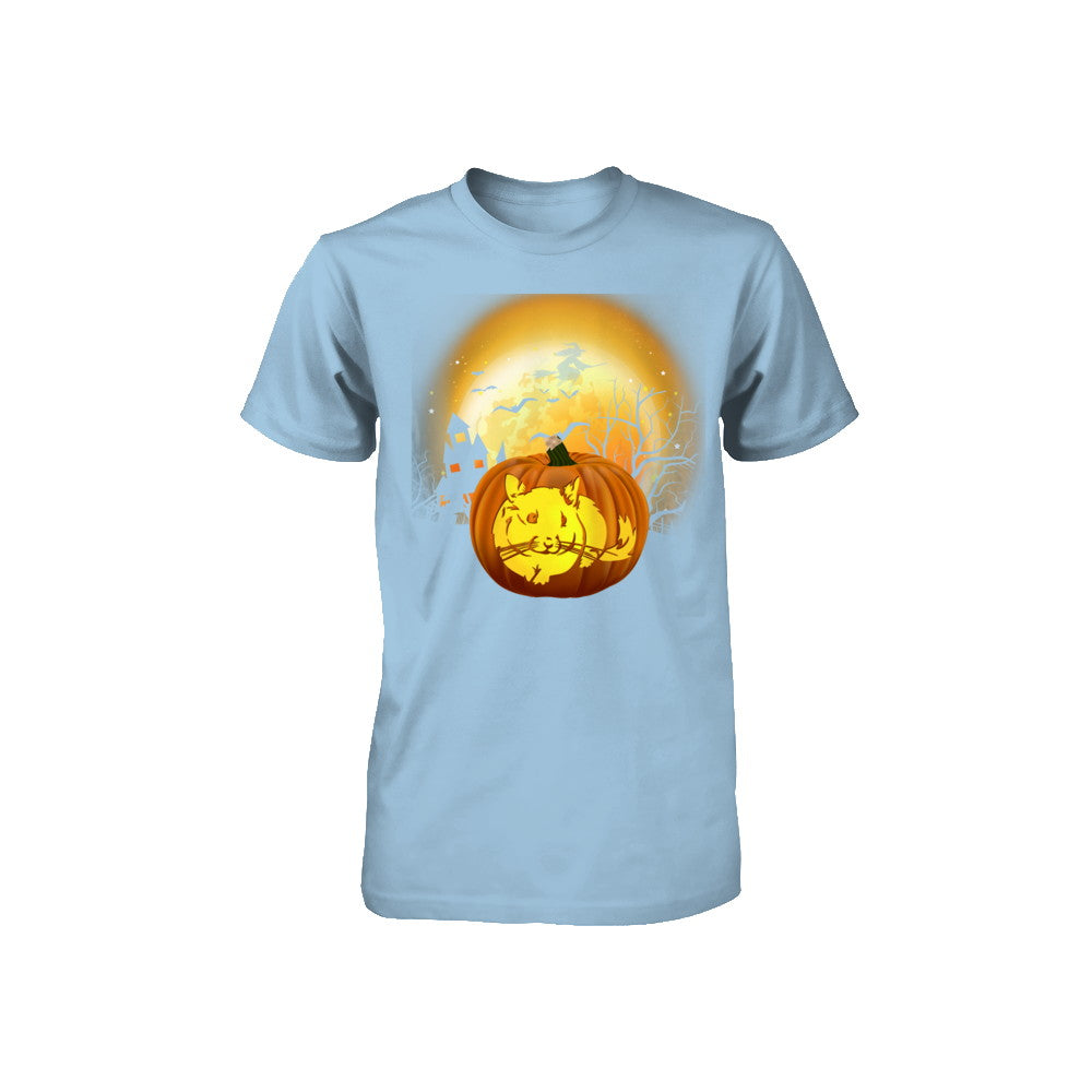 Pumpkin Chinchilla Halloween Human Costume Youth Youth Shirt | Teecentury.com