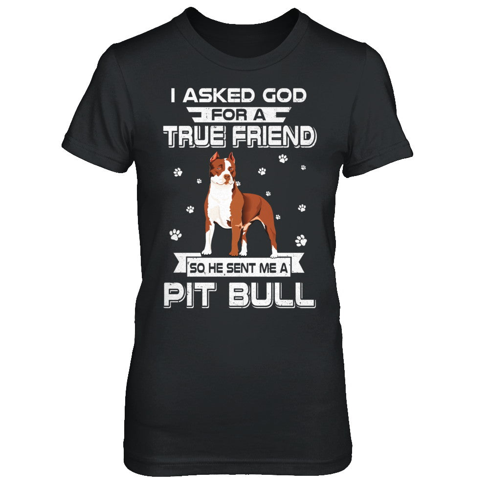 I Asked God For A True Friend So Sent Me Pitbull Dog T-Shirt & Hoodie | Teecentury.com
