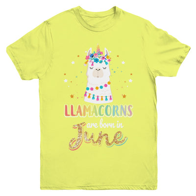 Llama Unicorn Llamacorns Born In June Birthday Gift Youth Youth Shirt | Teecentury.com