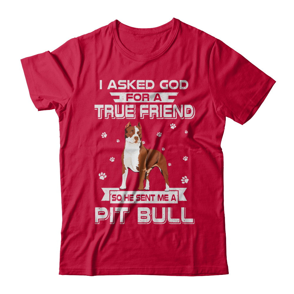 I Asked God For A True Friend So Sent Me Pitbull Dog T-Shirt & Hoodie | Teecentury.com