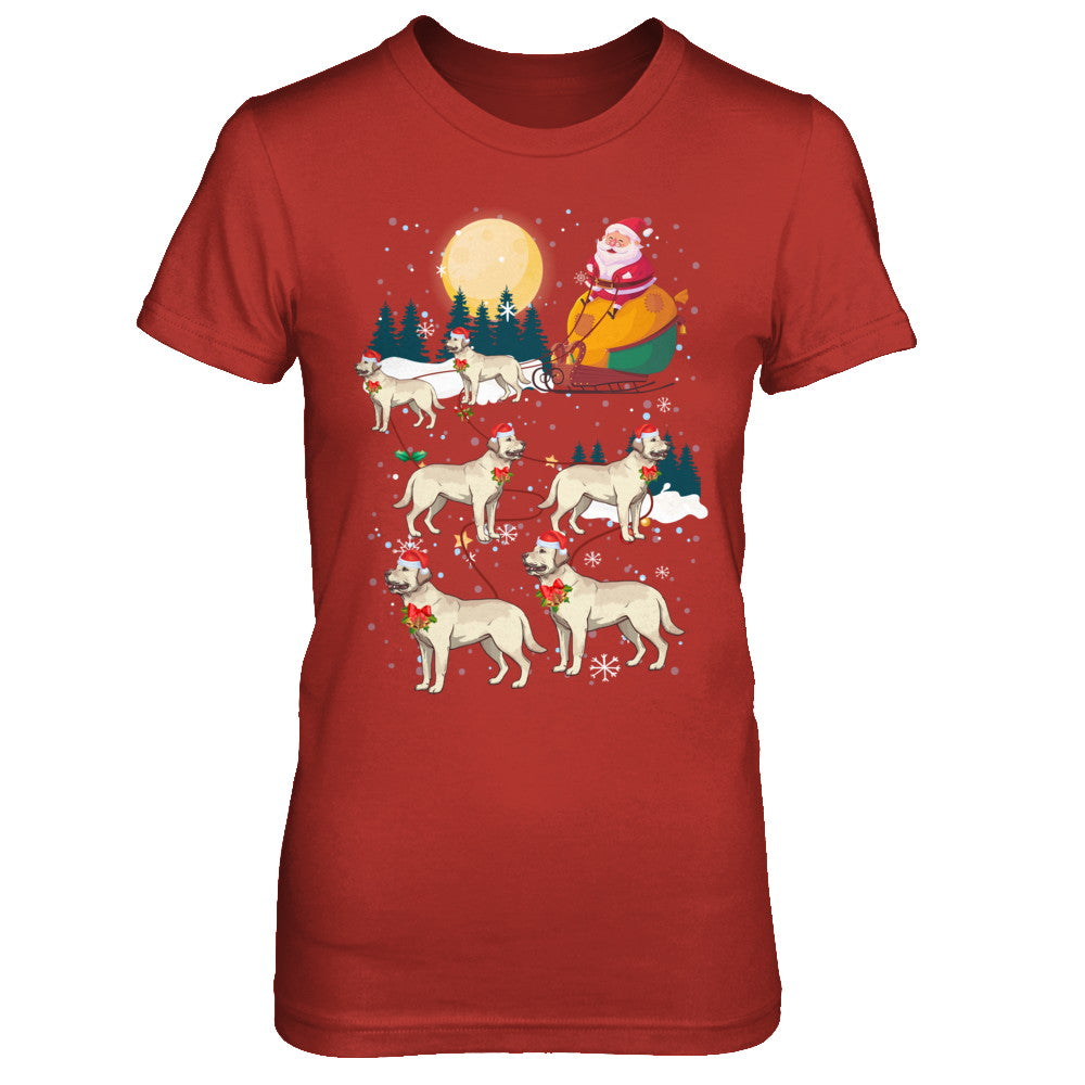 Dog Reindeer Labrador Christmas Gift T-Shirt & Sweatshirt | Teecentury.com