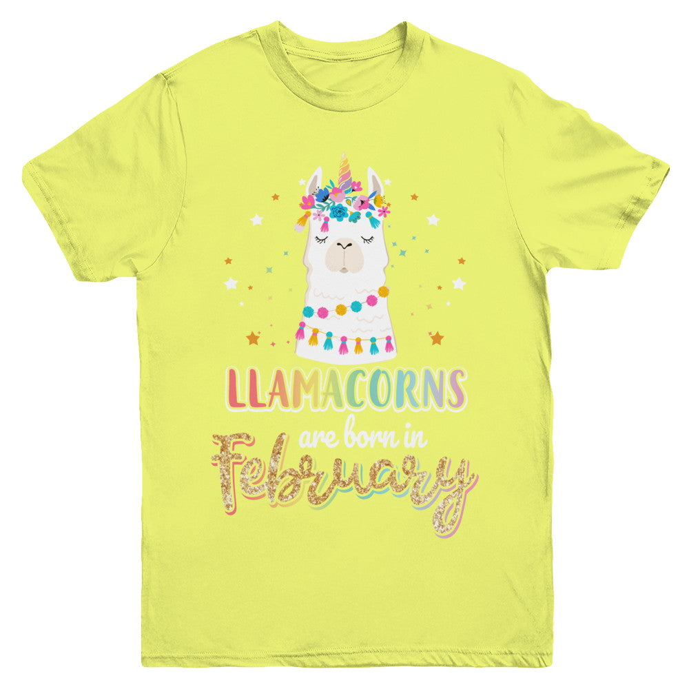 Llama Unicorn Llamacorns Born In February Birthday Gift Youth Youth Shirt | Teecentury.com