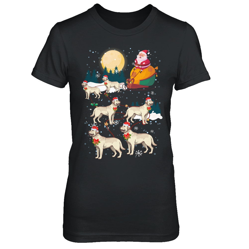 Dog Reindeer Labrador Christmas Gift T-Shirt & Sweatshirt | Teecentury.com