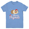 Merry Pigmas Funny Guinea Pig Santa Hat Christmas Gift Youth Youth Shirt | Teecentury.com