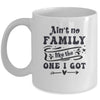 Aint No Family Like The One I Got Funny Family Reunion Funny Mug | teecentury