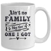 Aint No Family Like The One I Got Funny Family Reunion Funny Mug | teecentury