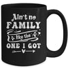 Aint No Family Like The One I Got Funny Family Reunion Mug | teecentury