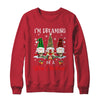 Drinking I'm Dreaming Of A Wine Christmas Gnome Xmas T-Shirt & Sweatshirt | Teecentury.com