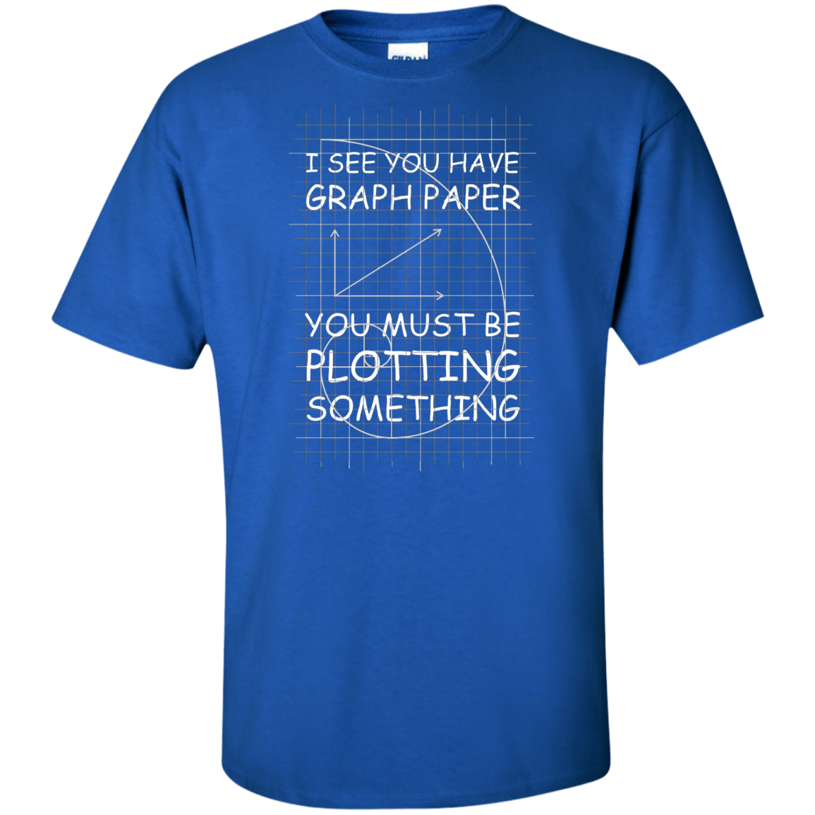 I See You Have Graph Paper Tall Style T-Shirt & Hoodie | Teecentury.com