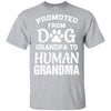 Promoted From Dog Grandpa To Human Grandpa Gifts T-Shirt & Hoodie | Teecentury.com