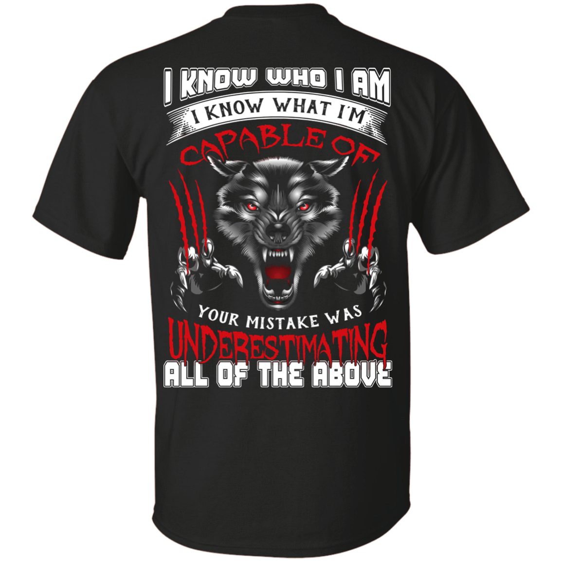 I Know who I Am I Know What I'm Capable T-Shirt & Hoodie | Teecentury.com