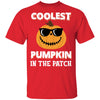 Coolest Pumpkin In The Patch Halloween Costume Gift Youth Youth Shirt | Teecentury.com