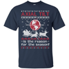Axial Tilt Is The Reason For The Season Sweater T-Shirt & Hoodie | Teecentury.com