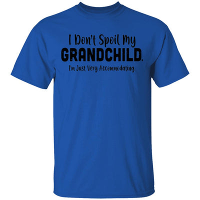 I Don't Spoil My Grandchild Im Just Very Accommodating T-Shirt & Hoodie | Teecentury.com