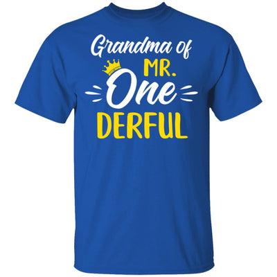 Grandma Of Mr Onederful 1st Birthday Party Costumes Gifts T-Shirt & Hoodie | Teecentury.com