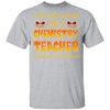 Halloween I Don't Need A Costume I'm A Chemistry Teacher T-Shirt & Hoodie | Teecentury.com