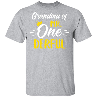 Grandma Of Mr Onederful 1st Birthday Party Costumes Gifts T-Shirt & Hoodie | Teecentury.com