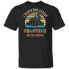 I Teach The Cutest Pumpkins In The Patch Halloween Costumes T-Shirt & Hoodie | Teecentury.com