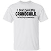 I Don't Spoil My Grandchild Im Just Very Accommodating T-Shirt & Hoodie | Teecentury.com