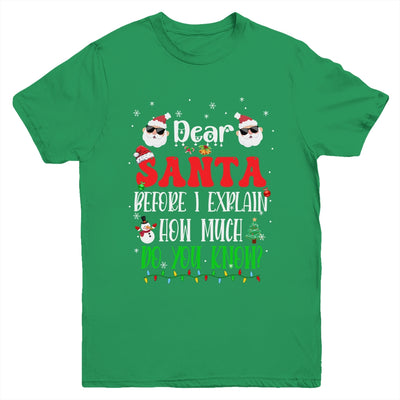 Funny Christmas Kids Adults Dear Santa I Can Explain Youth Shirt | teecentury
