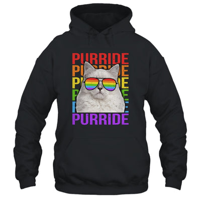 LGBT Purride Gay Pride Rainbow Cat Lover Funny T-Shirt & Tank Top | Teecentury.com