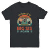 Leveling Up To Big Sis Again Vintage Big Sister Youth Youth Shirt | Teecentury.com