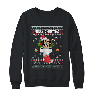 Merry Christmas Golden Retriever In Sock Dog Funny Ugly Xmas T-Shirt & Sweatshirt | Teecentury.com