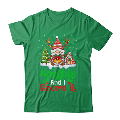 Naughty And I Gnome It Funny Gnome Christmas Family Shirt & Sweatshirt | teecentury