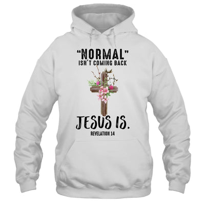 Normal Isn't Coming Back But Jesus Is Costume T-Shirt & Hoodie | Teecentury.com