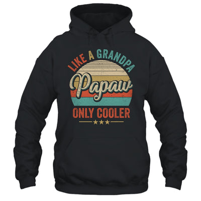 Papaw Like A Grandpa Only Cooler Vintage Dad Fathers Day Shirt & Hoodie | teecentury