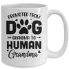 Promoted From Dog Grandma To Human Grandma Mother's Day Mug Coffee Mug | Teecentury.com