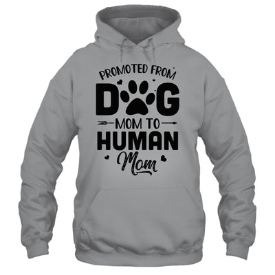 Promoted From Dog Mom To Human Mom Mother's Day T-Shirt & Tank Top | Teecentury.com