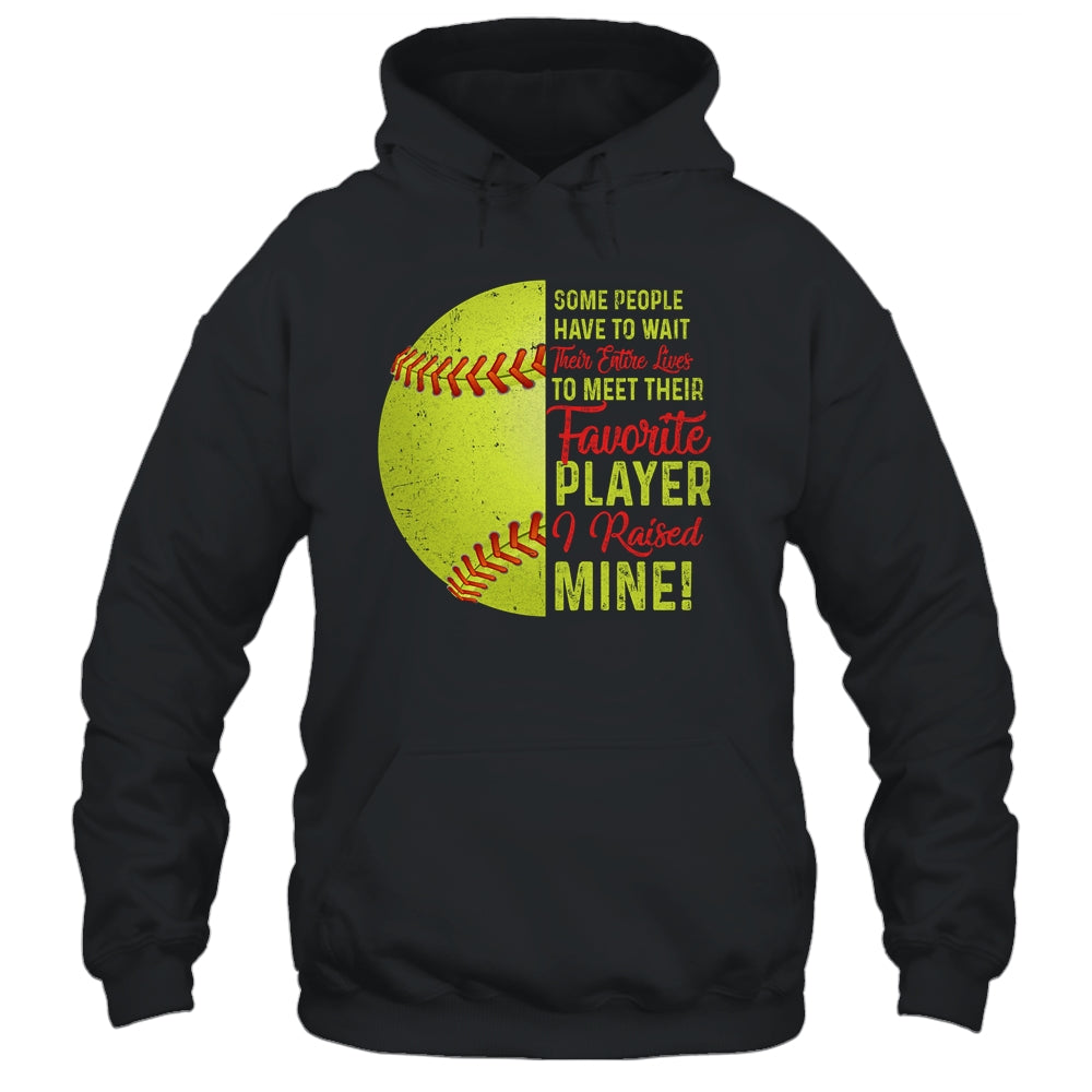 Some People Have To Wait Their Entire Lives Softball Player T-Shirt & Hoodie | Teecentury.com