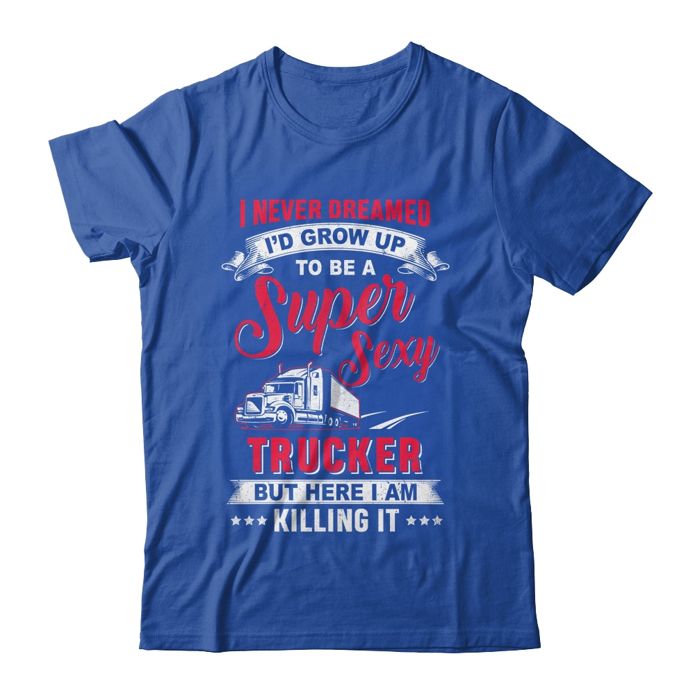 Funny Trucker Shirt, Funny Trucker Gift For Truck Drivers Big Rig