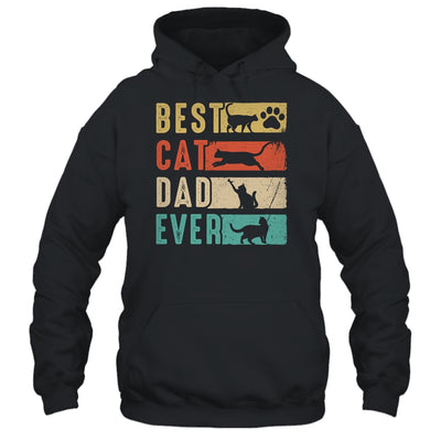 Vintage Best Cat Dad Ever Retro Fathers Day Cat Lovers Shirt & Hoodie | teecentury
