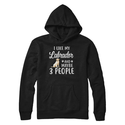 I Like My Labrador And Maybe 3 People T-Shirt & Hoodie | Teecentury.com