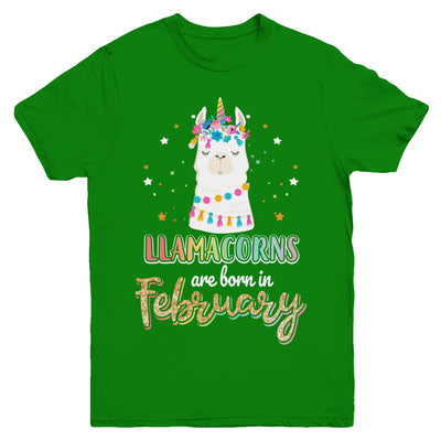 Llama Unicorn Llamacorns Born In February Birthday Gift Youth Youth Shirt | Teecentury.com