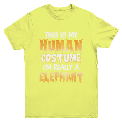 This Is My Human Costume Elephant Halloween Youth Youth Shirt | Teecentury.com