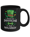 St Patricks Day Funny Shenanigans And Melarkey Irish Mug Coffee Mug | Teecentury.com