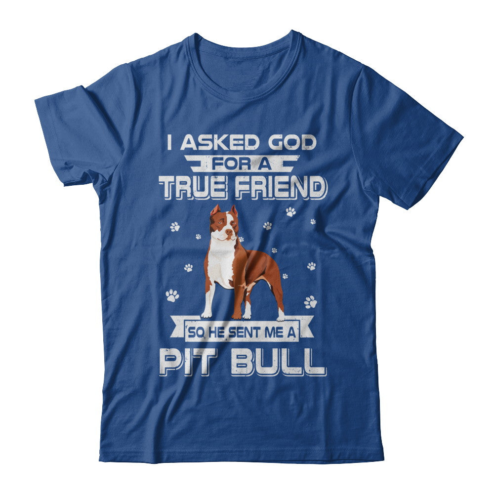 I Asked God For A True Friend So Sent Me Pitbull Dog T-Shirt & Hoodie | Teecentury.com