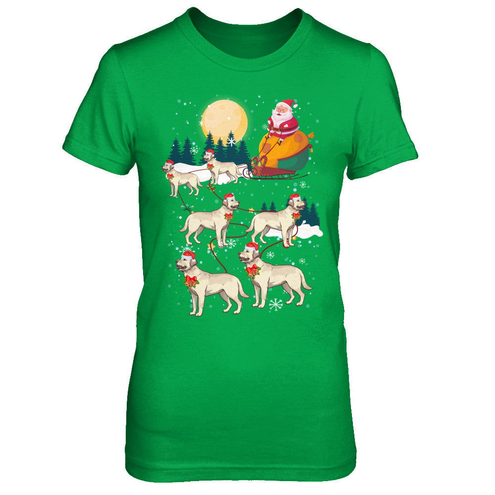 Dog Reindeer Labrador Christmas Gift T-Shirt & Sweatshirt | Teecentury.com