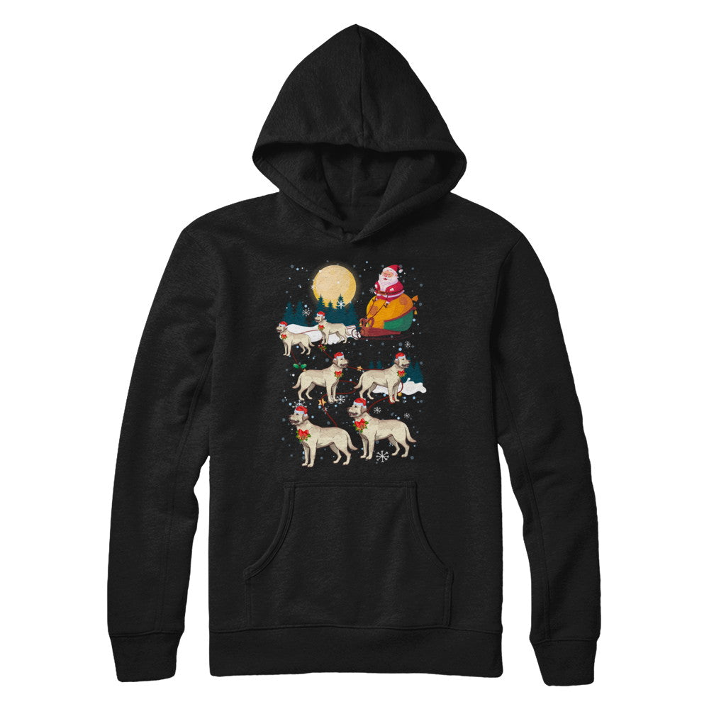 Dog Reindeer Labrador Christmas Gift T-Shirt & Sweatshirt | Teecentury.com