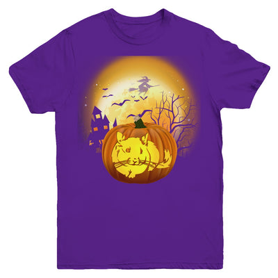Pumpkin Chinchilla Halloween Human Costume Youth Youth Shirt | Teecentury.com