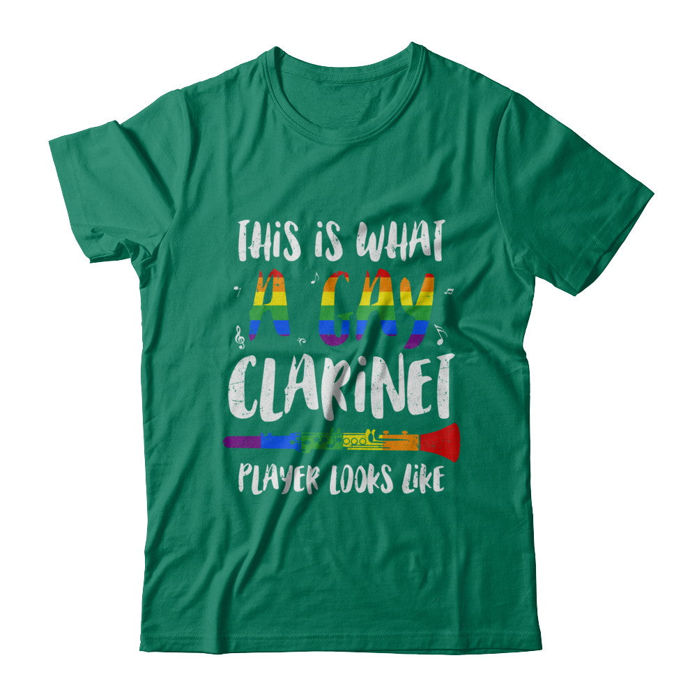 This Is What A Gay Clarinet Player Looks Like LGBT T-Shirt & Hoodie | Teecentury.com