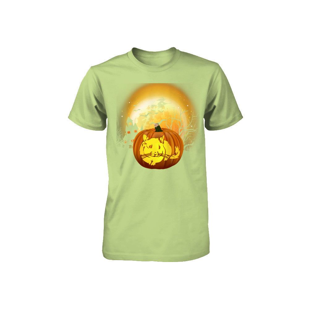 Pumpkin Chinchilla Halloween Human Costume Youth Youth Shirt | Teecentury.com