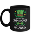 St Patricks Day Funny Shenanigans And Melarkey Irish Mug Coffee Mug | Teecentury.com