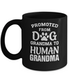 Promoted From Dog Grandma To Human Grandma Gifts Mug Coffee Mug | Teecentury.com