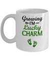 Pregnancy Announcement Gift Funny St Patricks Day Pregnant Mug Coffee Mug | Teecentury.com