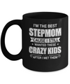 I'm The Best Step Mom Wanted Crazy Kids Mothers Day Mug Coffee Mug | Teecentury.com