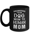 Promoted From Dog Mom To Human Mom Gifts Mug Coffee Mug | Teecentury.com